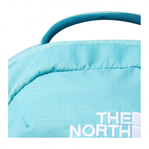 北面（The North Face）Borealis10L休闲运动Logo徽标可再生材质书包背包双肩包迷你男女 迷你