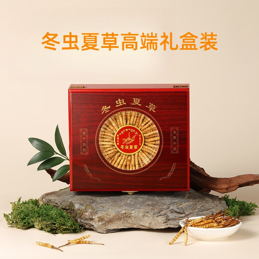 Cordyceps sinensis productos secos auténticos cordyceps sinensis caja de regalo Cordyceps sinensis wang xiong fengdao nutriente y salud Cordyceps sinensis tres gramos 50 raíces [caja]