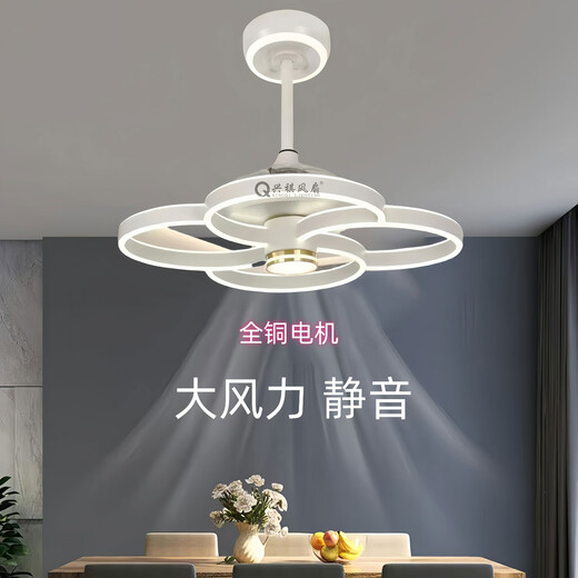 Opp Lighting (OPPLE) 2024 new invisible ceiling fan lights, large wind power household dining room, bedroom electric fan integrated chandelier mute invisible model 9227/white 60CM frequency converter remote control + direct