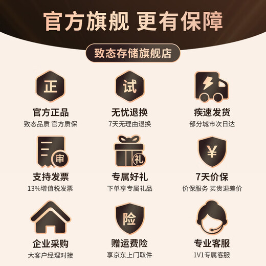 Zhidai Yangtze Storage Disque SSD SSD Interface NVMe M.2 Extension d'installation de bureau pour ordinateur portable TiPlus7100 Disque SSD SSD TiPlus7100 1 To