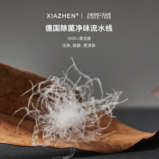霞珍【羽绒被】95%白鹅绒被芯 5A级80支全棉抗菌鹅绒被 轻盈保暖被子 5A级标准冬被-抗菌升级 150cm*200cm