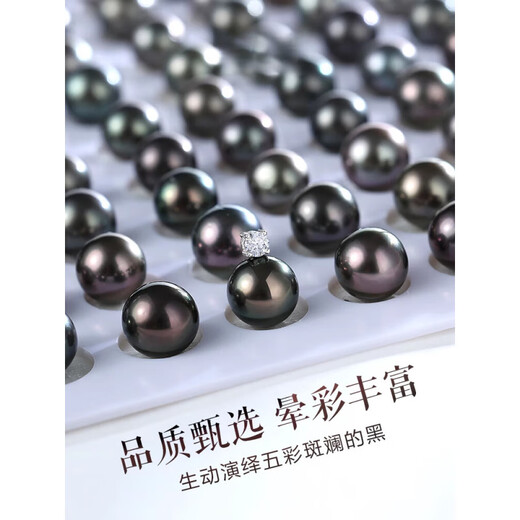DL 1998 Fat Donglai same style Tahitian pearl pendant 8-11mm sea water perfect round black necklace silver single 8-9mm black/silver