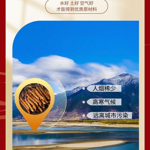 Beijing Tongrentang Cordyceps Capsules tonify kidneys and strengthen yang and regulate immunity Shoushibao Yuan Cordyceps Capsules Mycelium Shoushibao Yuan Cordyceps Capsules [60 capsules/box]