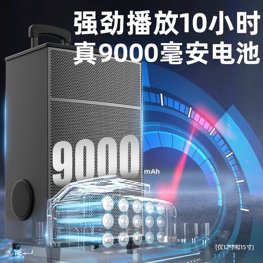 NINTAUS Square Dance Audio Outdoor K Song Dance Performance Trolley Mobile Bluetooth Speaker Store Special Large Volume Dual 12-inch 20 Speakers + Dual Microphones + U Disk