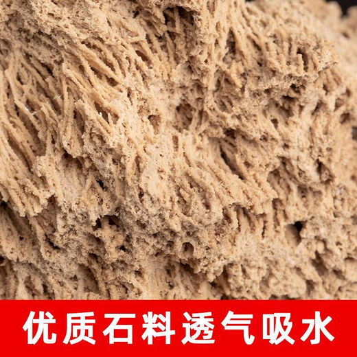 Absorbent stone flower pot, natural strange stone, absorbent stone, upper water stone, original stone, stone pot, calamus, succulent potted plant, bonsai micro landscape, absorbent stone, flower pot 10-12cm (no gifts)