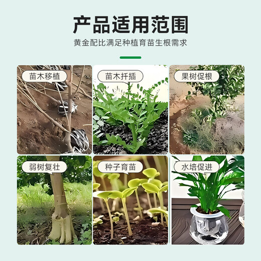 Guoguang Root Promoting Rapid Rooting Liquid Powder Seedlings Flower Cuttings Transplanting Indocynaphthyl Acetic Acid Guoguang Genpan 200ml*1 Bottle