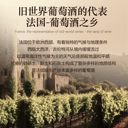 路易拉菲（LOUIS LAFON）法国进口红酒礼盒14度梅洛干红葡萄酒750ml*2瓶原酒红酒双支送礼
