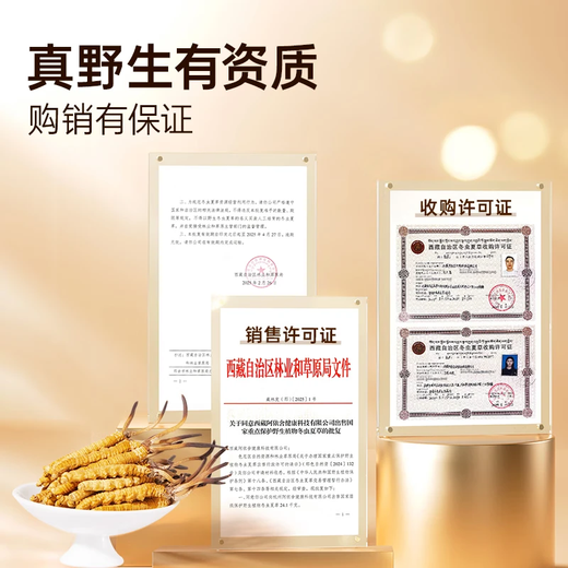 La primera calabaza de Ayishe Tibet de Cordyceps sinensis frescos y salvajes en Nagqu, Tíbet en 2025, transporte de aire y cajas de regalo para productos nutricionales para ancianos. Hierba fresca salvaje 0.5g/raíz 50