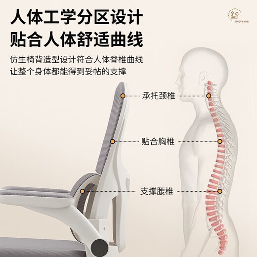 Teenagers' study chair Ergonomic computer chair Children's middle school students' special desk writing chair Home office chair 688-Yongding legs-white frame black network