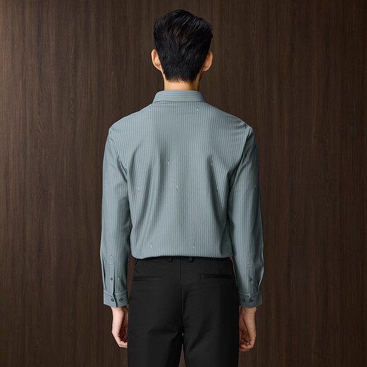 Heilan long-sleeved shirt men's winter 26 new light business fashion series velvet shirt men HNEAW4J056A green gray stripes 5B XS 165/84A recommended 117~126Jin Jin equals 0.5 kg