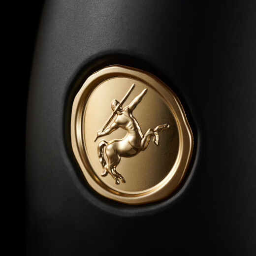Remy Martin Wine VSOP Premium Champagner Cognac 700ml (keine Box -Version)