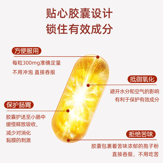 哈药破壁灵芝孢子粉胶囊 增强免疫力成人中老年送长辈营养品 1瓶装【效期到26年2月】