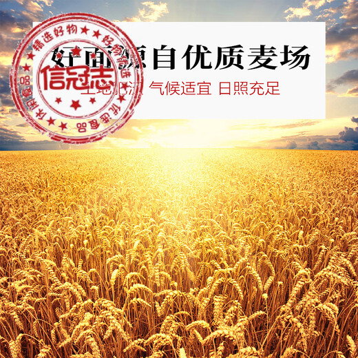 草原浪花内蒙海拉尔草原浪花雪花小麦粉新国标GBT1355-2021中筋面粉5kg 10斤雪花粉