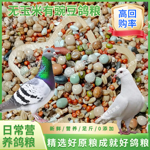 New pigeon food 20 Jin Jin is equal to 0.5 kg. Corn-free pigeon food with corn pigeon feed racing nutrition pigeon food for adult and young pigeons 5 Jin Jin is equal to 0.5 kg. No corn pigeon food with peas 20 Jin Jin is equal to 0.5 kg.