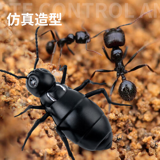 ZF remote control electric ant children's prank decompression artifact simulation for little boys and girls fun black technology toys [Classic version - remote control ladybug] Red 9922+ screwdriver, uniform size