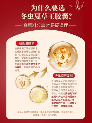 Beijing Tongrentang Cordyceps Capsules tonify kidneys and strengthen yang and regulate immunity Shoushibao Yuan Cordyceps Capsules Mycelium Shoushibao Yuan Cordyceps Capsules [60 capsules/box]