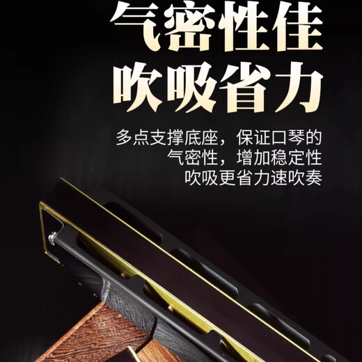 国光口琴28孔重音高级演奏德国进口音簧复音C调初学者入门乐器  28孔复音黑色+学习资料【带音标