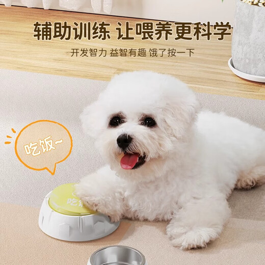 JD Express Dog Talking Button Pet Sounder Cat Ringing Bell and Eating Toy Recording Voice 6 Macaron Recording Models