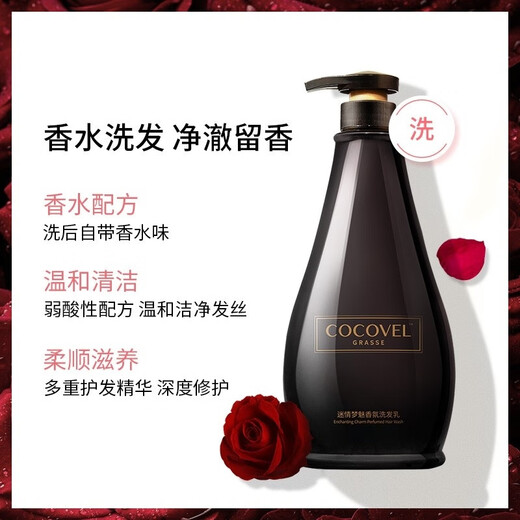 CocoVEL Shampoo Shampoo Set Dream Beauty Official Flagship Authentic [Aura Paris Flag]-Washing Suit 500ml*2