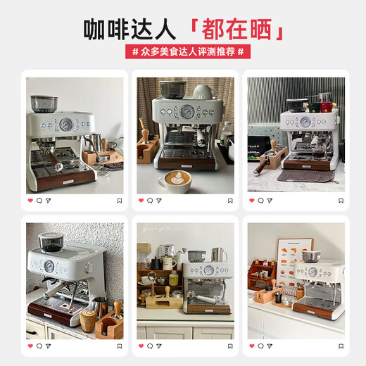 Petrus Italienische Kaffeemaschine Volltemi-automatische Haushaltsmilch-Schaummaschine Schleifmaschine kleiner Doppelpumpen Doppelgriff PE3899 STARLIGHT MEALSALZE WHITE [Eine große Überraschungsanfrage]