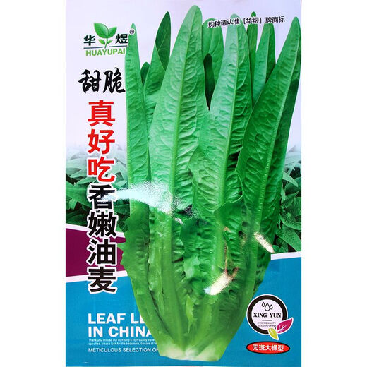 Shanghai green seeds for all seasons, small green vegetables, chicken feathers, fast vegetables, small cabbage, rapeseed, heat-resistant, wet-resistant and cold-resistant, for field use, original fragrance lettuce seeds, about 1500 capsules, 1 pack