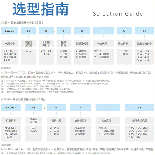 Chint (CHNT) dual power automatic transfer switch NXZBN series PC level manual switching overload protection NXZBN-63S/2A-D63