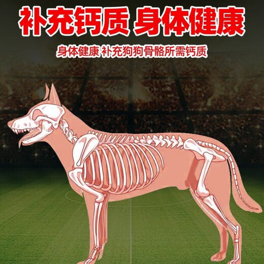 Baichan Suli 4800 Fresh Meat Full Price Dog Food 20 Jin Jin equals 0.5 kg 40 Jin Jin equals 0.5 kg Large bag of affordable Suli 4800 Fresh Meat Food 20 Jin Jin equals 0.5 kg One bag