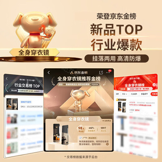 OQB德国高端轻奢风网红全身镜子感落地镜家用壁挂式穿衣镜化妆卧室试 40*150秋叶金高清 可壁挂 可落地