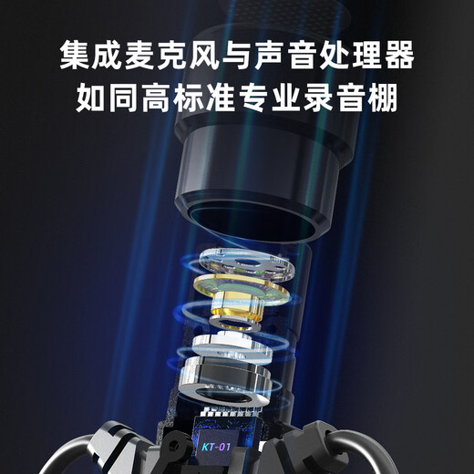 Suoying dual-mic noise reduction and anti-blowout wired earphones for karaoke type-C port 3.5mm singing mobile phone recording live broadcast microphone all-in-one singing bar with built-in sound card to record songs for everyone capacitor dual microphone + 14mm dynamic coil Type-C karaoke earphones dedicated for mobile phone recording