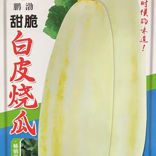 Sweet and crispy white-skinned roasted melon seeds, melon seeds, old-fashioned roasted melons, old-fashioned tipped melons, Shandong large white melon seeds, sweet and crispy white-skinned roasted melon seeds, the peel is yellow and white, original 1 pack, about 80 capsules + fertilizer