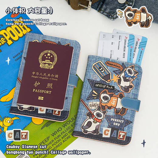 Caso de protección del paquete de almacenamiento de pasaporte de Yonghuan