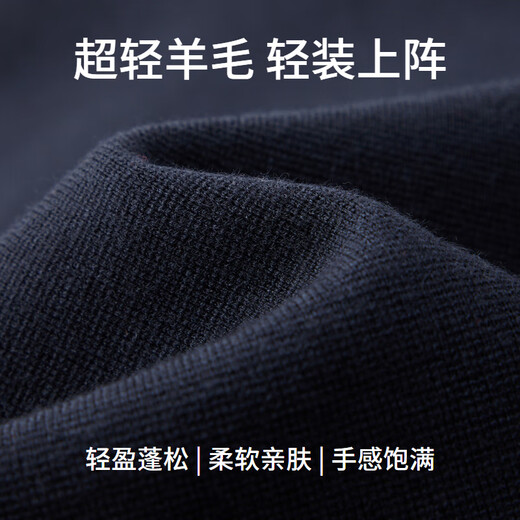 EMZ鄂尔多斯【超轻羊毛】早春新款翻领休闲毛衣男士外套开衫羊毛衫男 宝兰 2XL 185/100A