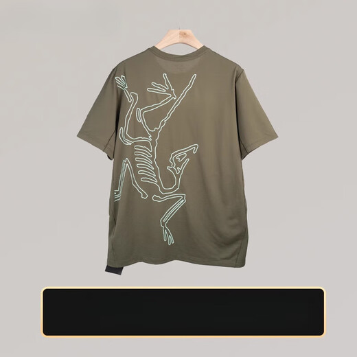 Arc'TERYX Arc'TERYX Arc'Bird Print Antibacterial Moisturizing Wicking Round Neck T-shirt 9721 Tatsu/Stone Green Antique Green S