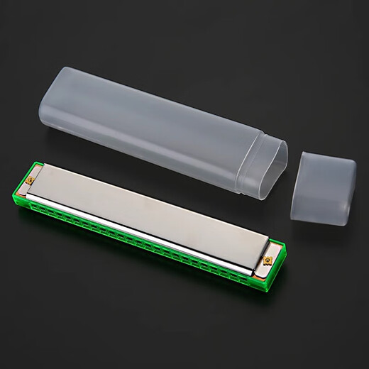 Harmonica, wind instrument, entry-level gift for beginners, student self-taught professional playing children's gift, 24 holes, green mouth 24 holes double row