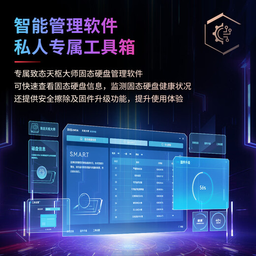 Zhidai Yangtze Storage Disque SSD SSD Interface NVMe M.2 Extension d'installation de bureau pour ordinateur portable TiPlus7100 Disque SSD SSD TiPlus7100 1 To