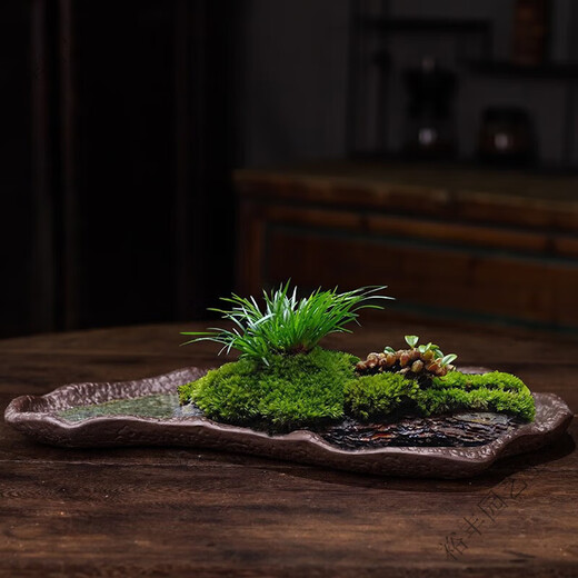 吸水石盆苔藓吸水石盆器盆景盆长方形菖蒲假山上水石水培紫砂陶瓷 盆景盆2677