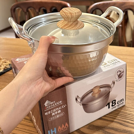 Burnison Japanese desktop small hot pot ramen pot soup pot double-eared snow pan export quality small hot pot silver induction cooker open flame 1 inch