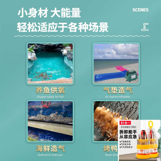 焊之造增氧气泵大气量户外防水鱼池大功率静音氧气海鲜增氧车载机升级版 AC0-9720/20W 单泵