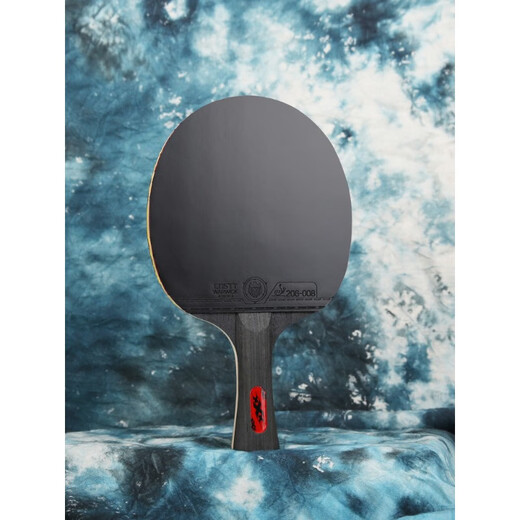 CNSTT KESTIN TABELLE TENNIS RACKET PROFORT