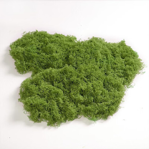 Runhuanian imitation moss landscaping fake moss yarn turf green plants micro landscape plant decoration artificial bionic lawn paving filamentous moss light green 50g can be paved 30*60cm