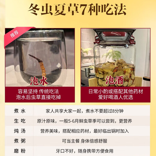 观采归冬虫夏草高端礼盒补品送礼长辈 新干虫草高档滋补营养品送老人 4根/g 1克【试用装】