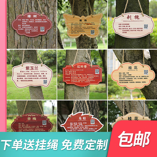 花草亚克力树牌植物绿化标识志牌树木介绍挂牌学校做植树节 8*10cm