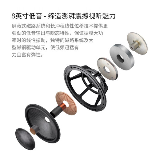 HiVi RM800HT+Sub12S DSP PLUS+Dianlong