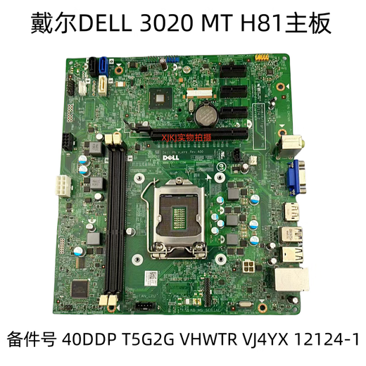 NUEVO Dell Dell 3020 MT Motor de placa base H81 40DDP T5G2G VHWTR VJ4YX 12124-2 GARANTÍA