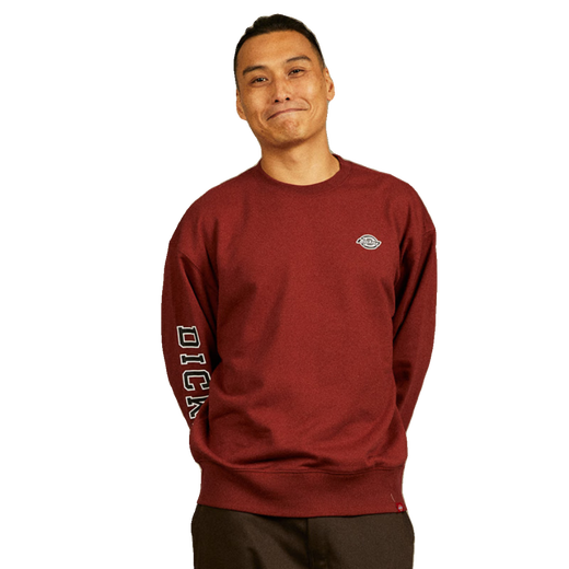 Dickies sudadera para hombres 25 primavera y verano logotipo de nuevo personalidad versátiles top mujeres pareja de pareja negra 12596 logo colorido estilo para hombres y mujeres s
