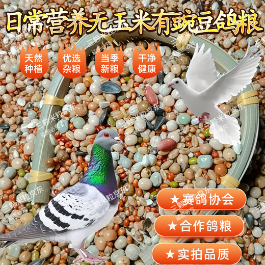 New pigeon food 20 Jin Jin is equal to 0.5 kg. Corn-free pigeon food with corn pigeon feed racing nutrition pigeon food for adult and young pigeons 5 Jin Jin is equal to 0.5 kg. No corn pigeon food with peas 20 Jin Jin is equal to 0.5 kg.