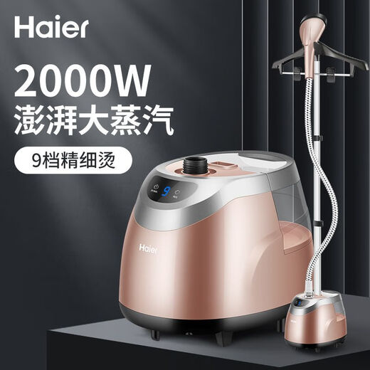 Haier hanging ironing machine for home vertical high power ironing machine for handheld steam ironing clothing store special Champagne gold vertical hanging ironing machine
