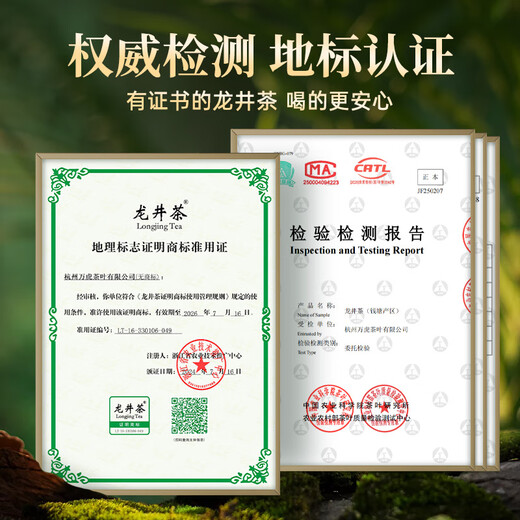 West Lake Gongfu 2025 New Tea Green Tea [Old Tea Tree Longjing] Ming Dynasty's special A spring tea drinks 20g yourself