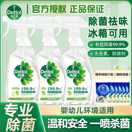 Dettol Natural Plant Ingredients Refrigerator Sterilizing Spray Disinfectant Clothing Sterilizing Deodorizing Spray Pure Green Apple 500ml 1 Bottle