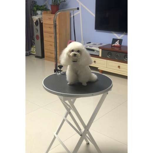 Pet Grooming Table Dog Grooming Table Home Folding Round Shearing Table Bracket Boom Teddy Bichon Bath Table DS-202 Square Folding Table Black Free